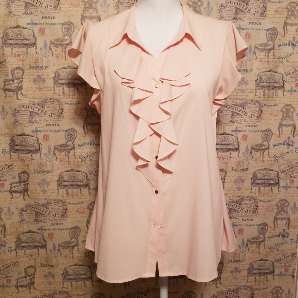 Calvin Klein Soft Pink Ruffled Blouse NWT
